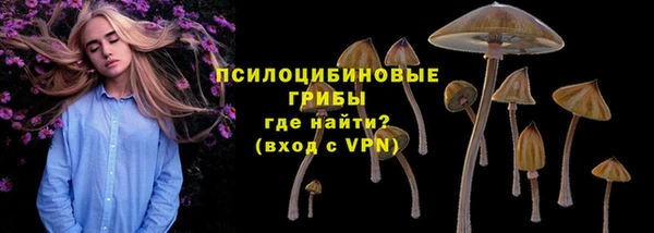 первитин Ельня