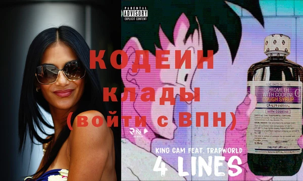 дживик Елизово