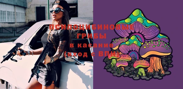 первитин Ельня