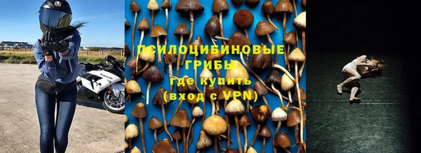 первитин Ельня